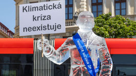 Greenpeace, protest, taraba, klimatická kríza,