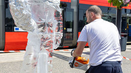 Greenpeace, protest, taraba, klimatická kríza,