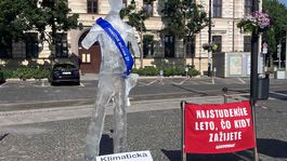 ľadová socha, Tomáš Taraba, Greenpeace