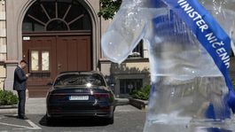 ľadová socha, Tomáš Taraba, Greenpeace