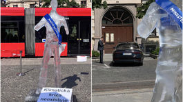 ľadová socha, Tomáš Taraba, Greenpeace