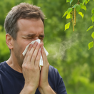 peľ, alergia, peľová alergia, NEPOUŽÍVAŤ