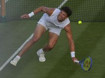 Ďalšie fiasko vo Wimbledone. Američan...
