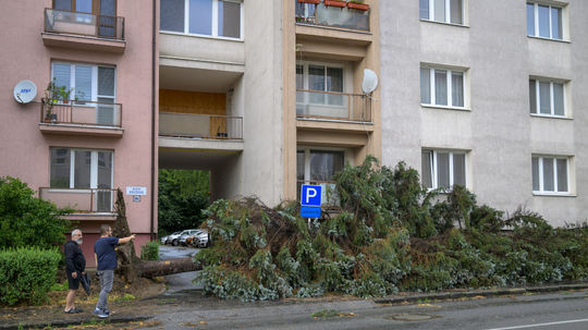 Na snímke spadnutý strom na Grešovej ulici po...