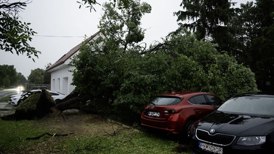 Na snímke vyvrátený strom po búrke v obci...