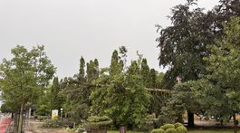 SR Svidník počasie búrka škody odstraňovanie POX