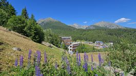 Štrbské Pleso, mReportér