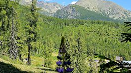 Štrbské Pleso, mReportér