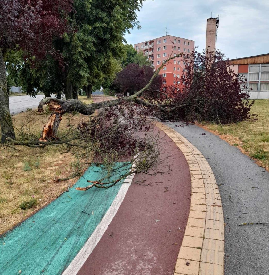 Spadnutý strom v Rožňave