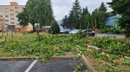 Spust  ktoru zanechala veterna smrst na Sportovej ulici v Rimavskej Sobote