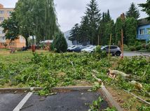 Spust  ktoru zanechala veterna smrst na Sportovej ulici v Rimavskej Sobote