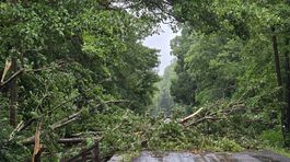 Zvaleny strom na ceste v okrese Roznava