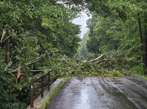 Zvaleny strom na ceste v okrese Roznava