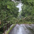 Zvaleny strom na ceste v okrese Roznava