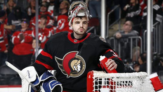 Veľká posila vicemajstra z Nitry. Kanaďan si zachytal v NHL, bol konkurentom Hlavaja