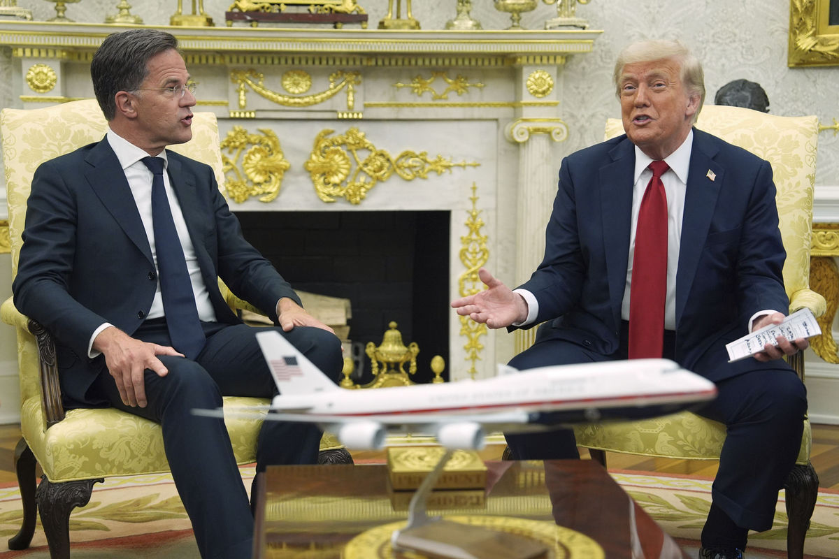 Trump Rutte