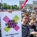 AfD, demonštrácia proti AfD