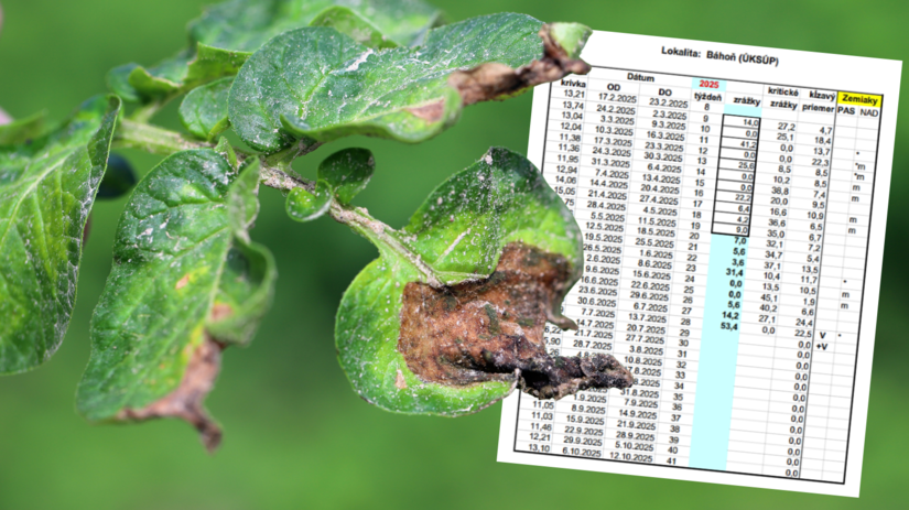 pleseň zemiaková, ÚKSÚP