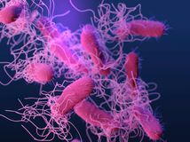 Záhadná baktéria prežila aj v sterilných...