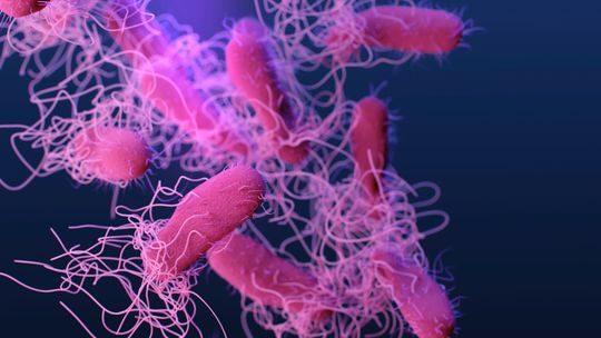 Záhadná baktéria prežila aj v sterilných laboratóriách NASA. Prežila vďaka dokonalému maskovaniu