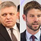 fico-simecka