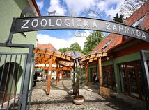 zoo, Bojnice