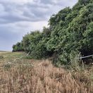 veľké ripňany vražda