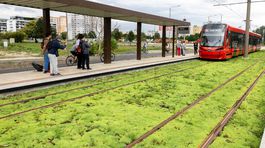 Električka do Petržalky, Linka 3, radiála,