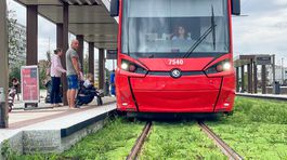 Električka do Petržalky, Linka 3, radiála,