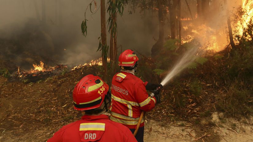 Portugal / Wildfires /