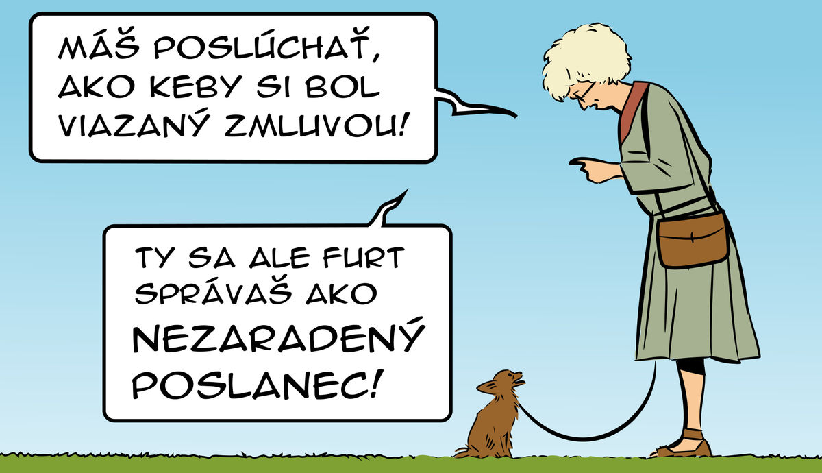 Karikatúra 30.07.2025