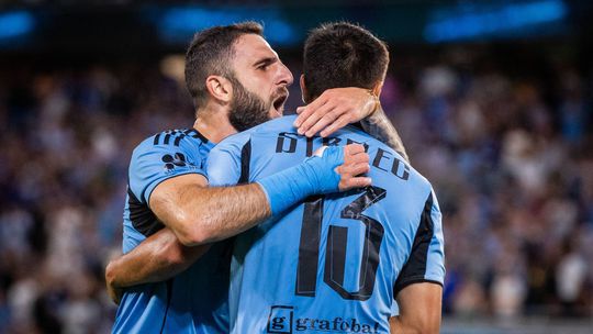 Tigran Barseghyan, Dávid Strelec