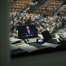 UN / Two State Solution / Mohammed Mustafa / Palestine /