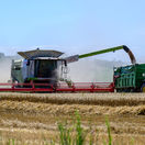 Dulova Ves žatva pšenica pôdohospodárstvo