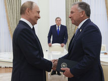 Steve Witkoff, Vladimir Putin