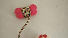 detska hracka - plysovy psik na baterky c2