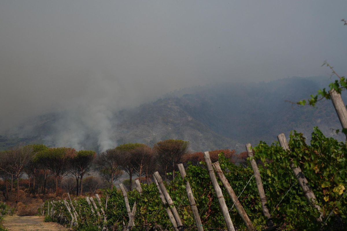 Taliansko lesný požiar vezuv