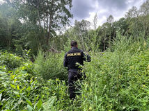 policie česko