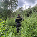 policie česko