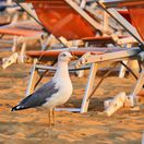 Mamma mia! Kde sú dovolenkári? Talianske pláže sú poloprázdne: Kríza strednej triedy alebo ignorácia predražených služieb?