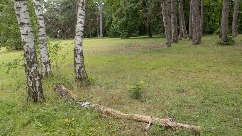 Obľúbený kaštieľ v Budmericiach je už rok pre...