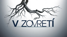 V zovreti logo