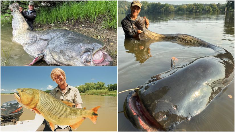 Za uplynulé roky sa vypracoval medzi najlepších...