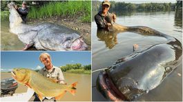 Rekordný sumec chytený Jakubom Vágnerom