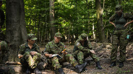 Národné obranné sily