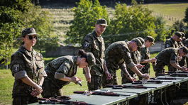 Národné obranné sily - strelecká príprava