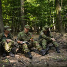 Národné obranné sily