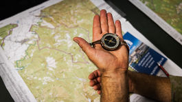 Národné obranné sily