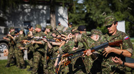 Národné obranné sily