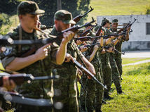 Národné obranné sily